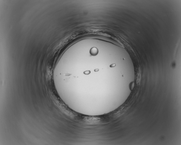 X0000116130476200912141114