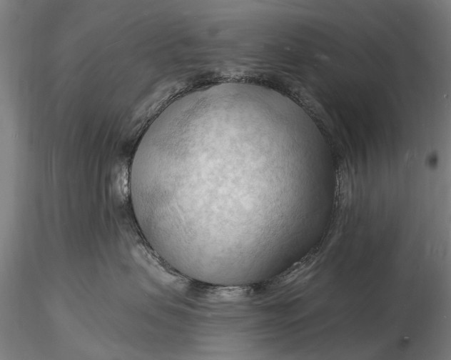 X0000116130479200912141114