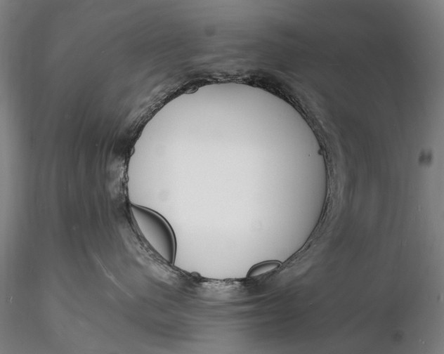 X0000116130480200912141114