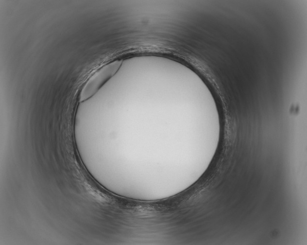 X0000116130481200912141113