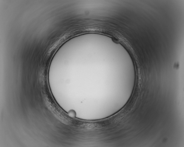 X0000116130482200912141113