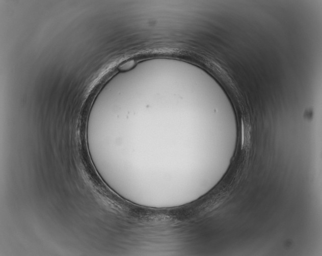 X0000116130483200912141113