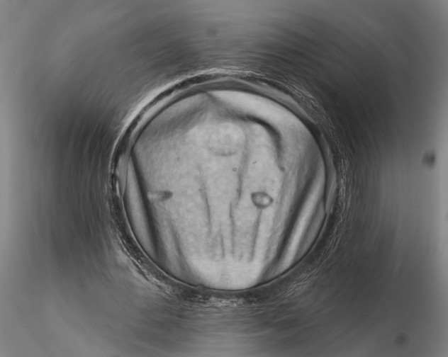 X0000116130484200912141113