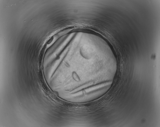 X0000116130488200912141113
