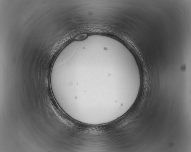 X0000116130489200912141113