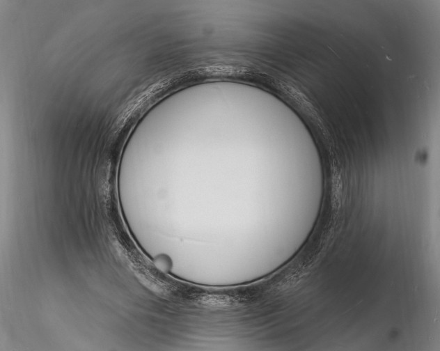 X0000116130490200912141113