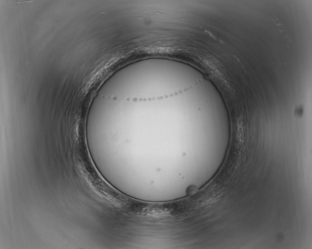 X0000116130491200912141113