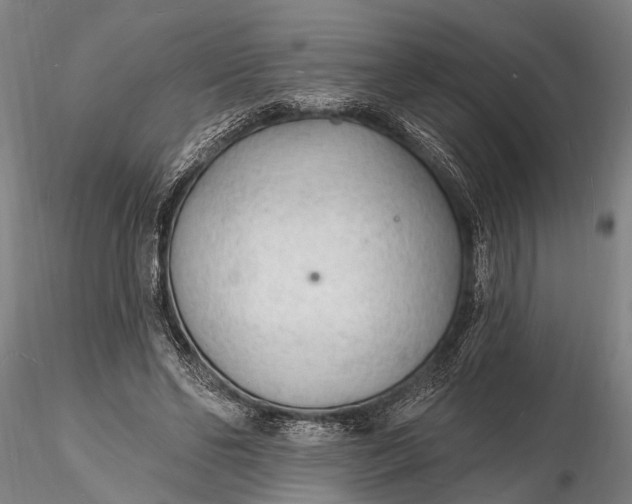 X0000116130494200912141113