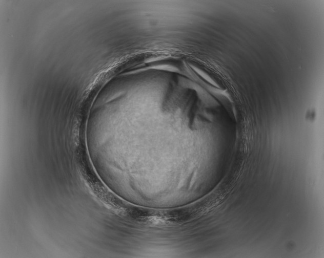 X0000116130496200912141113