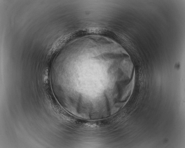 X0000116130502200912141113