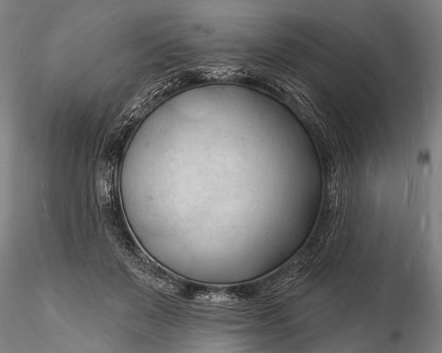 X0000116130503200912141113
