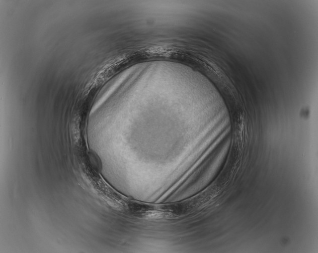X0000116130504200912141113