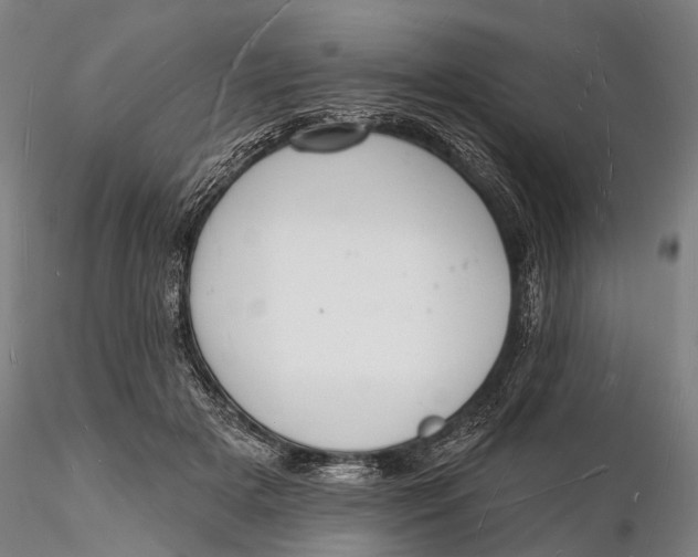 X0000116130505200912141113