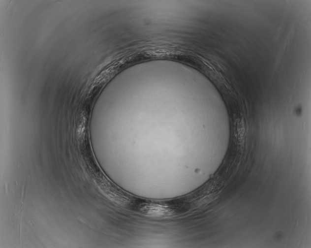 X0000116130507200912141113