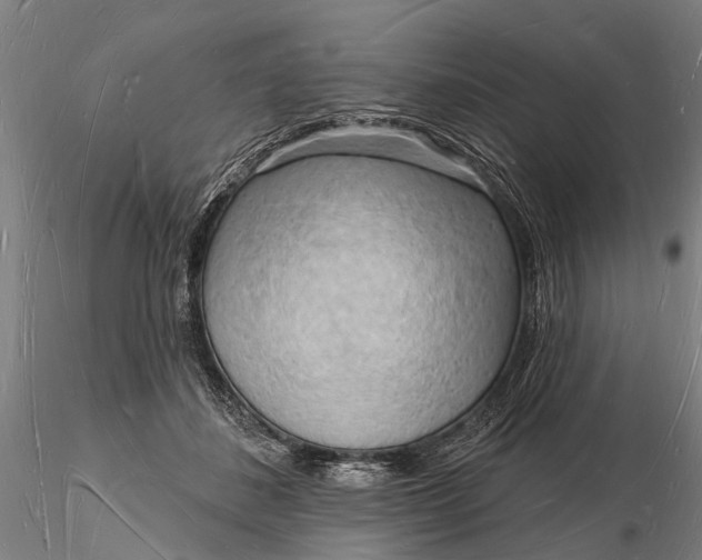 X0000116130508200912141113