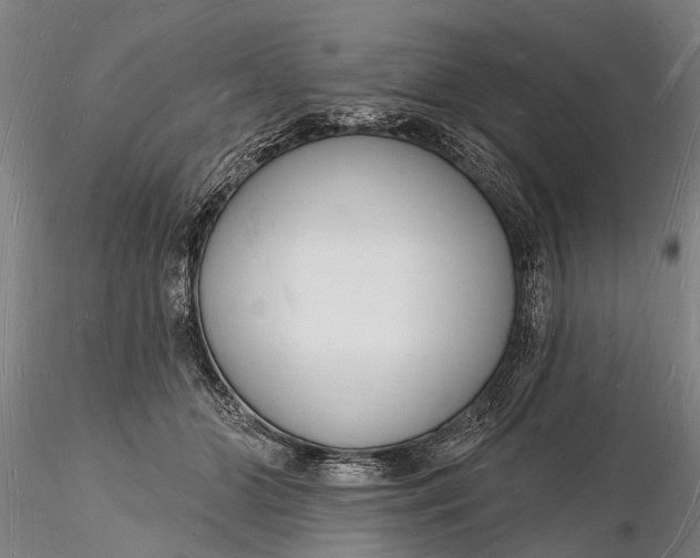 X0000116130510200912141113