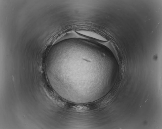 X0000116130512200912141113