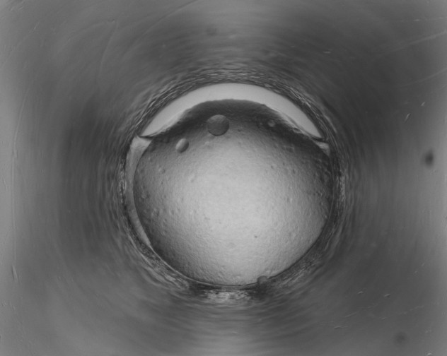 X0000116130517200912141113