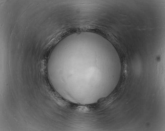 X0000116130519200912141113