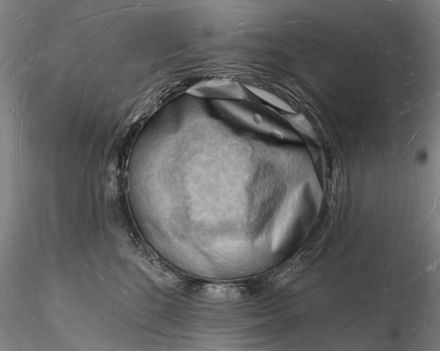 X0000116130520200912141112