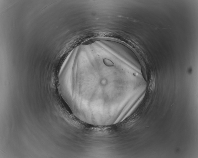 X0000116130524200912141112