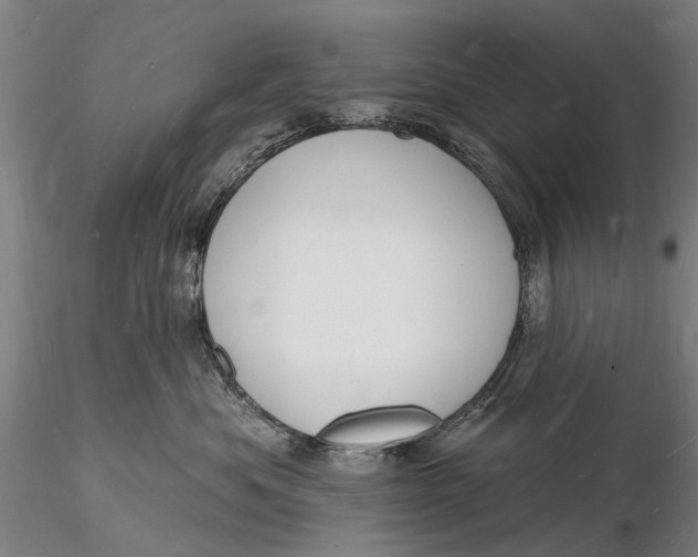 X0000116130525200912141112