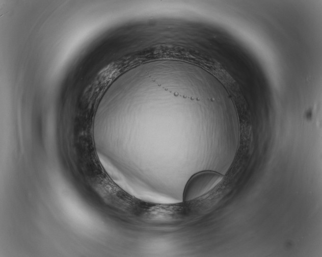 X0000116130526200912141112