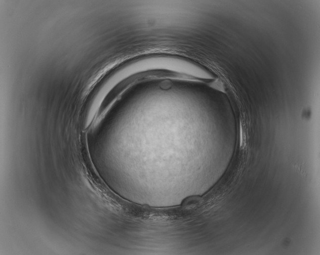 X0000116130531200912141112