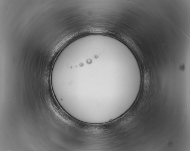 X0000116130533200912141112