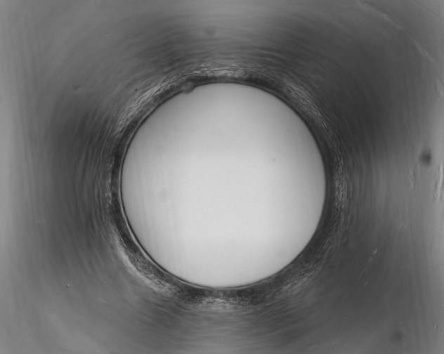 X0000116130538200912141112