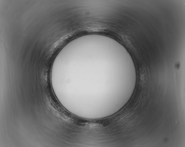 X0000116130539200912141112