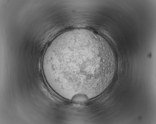 X0000116130541200912141112