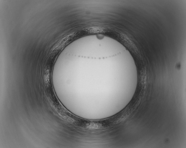 X0000116130549200912141112