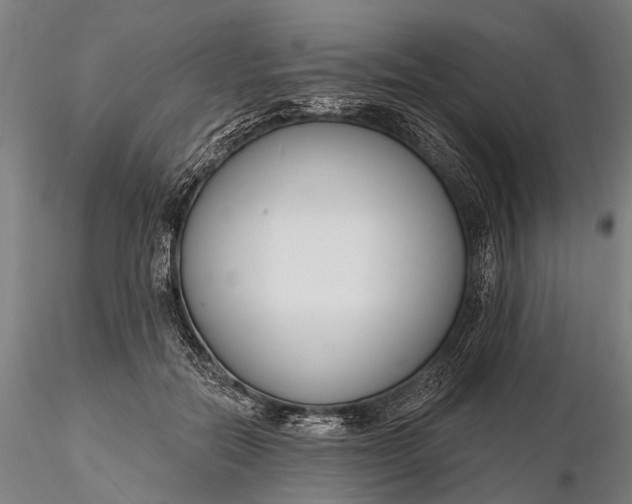 X0000116130554200912141112