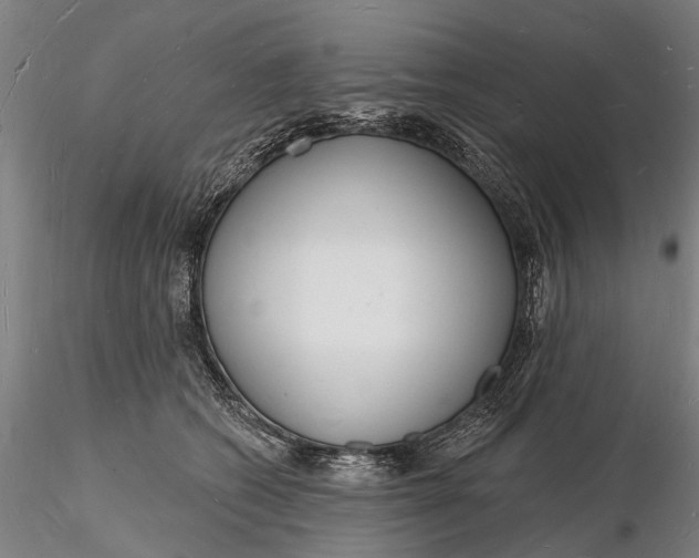 X0000116130562200912141112
