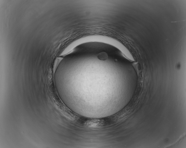 X0000116130563200912141112