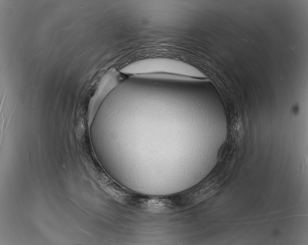 X0000116130566200912141112