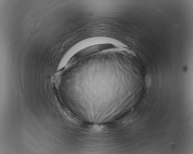 X0000116130570200912141112