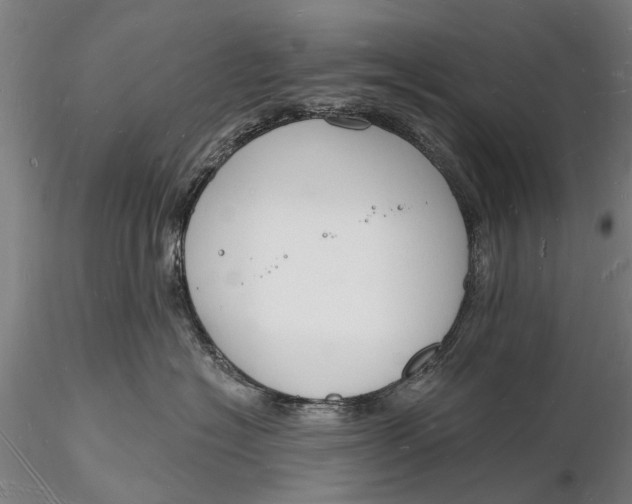 X0000116130574200912141112