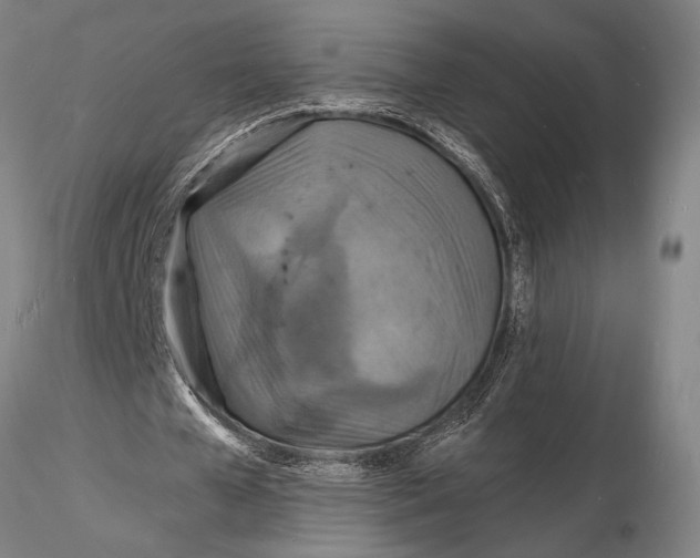 X0000116130577200912141112