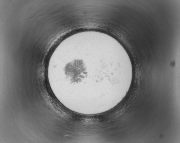 X0000116130584200912141112