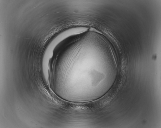X0000116130585200912141112