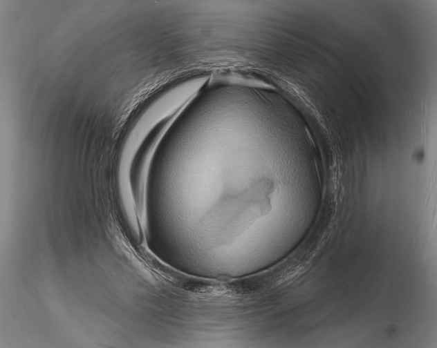 X0000116130589200912141112