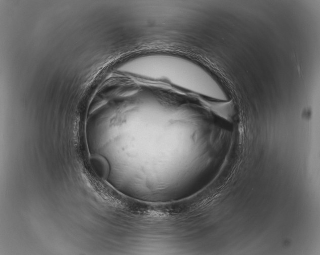 X0000116130592200912141111