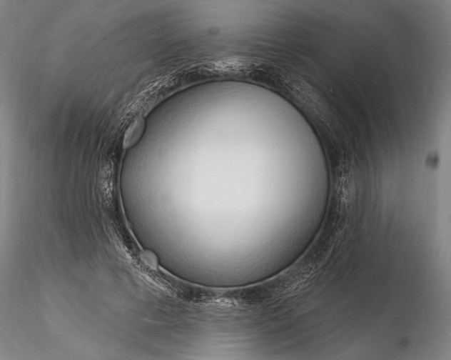 X0000116130593200912141111