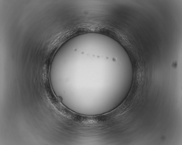 X0000116130594200912141111