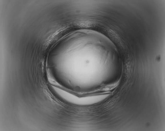 X0000116130596200912141111