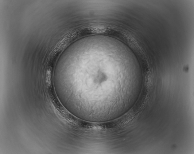 X0000116130598200912141111