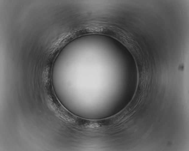 X0000116130600200912141111