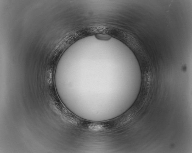 X0000116130602200912141111